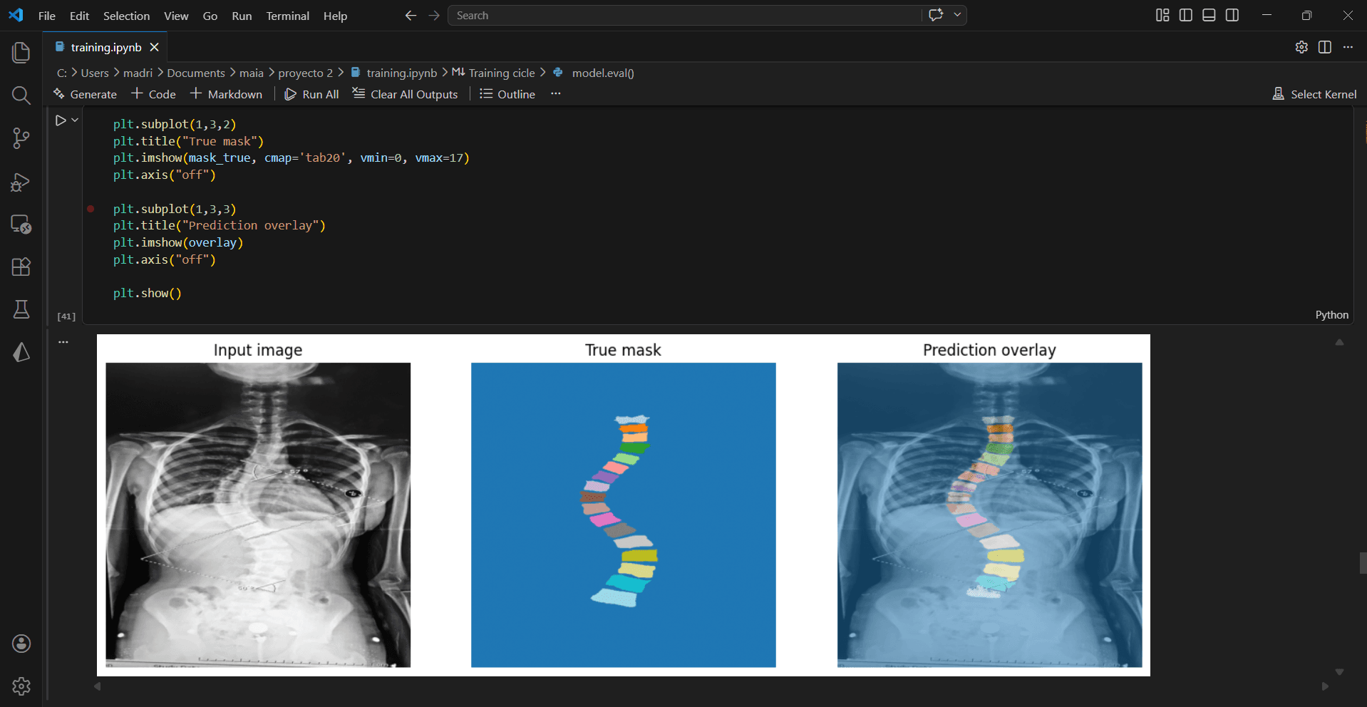 Vertebrate Image Segmentation preview 3