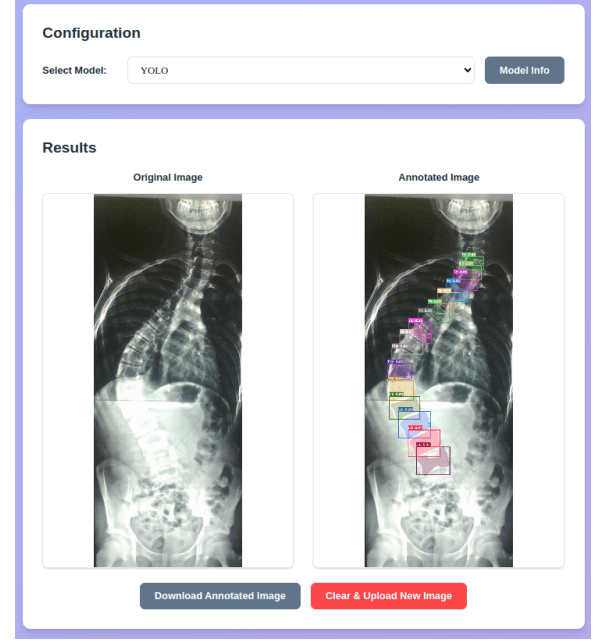 Vertebrate Image Segmentation preview 4